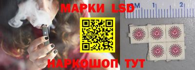 скорость Заводоуковск