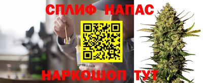 сатива Жуковский