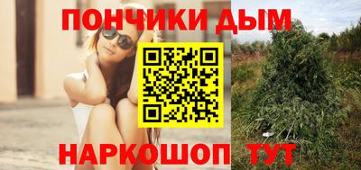 скорость Заводоуковск