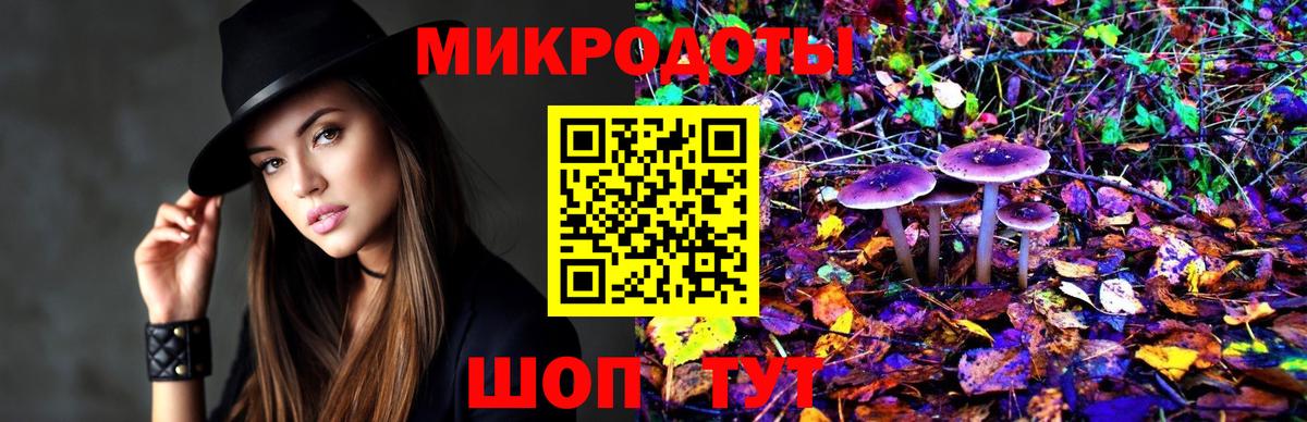 Галлюциногенные грибы Magic Shrooms  купить   Вход с VPN  Гай  Псилоцибиновые грибы Cubensis 